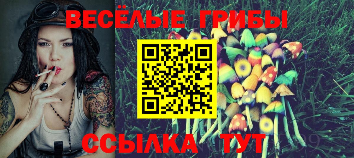 Псилоцибиновые грибы Magic Shrooms Новокубанск